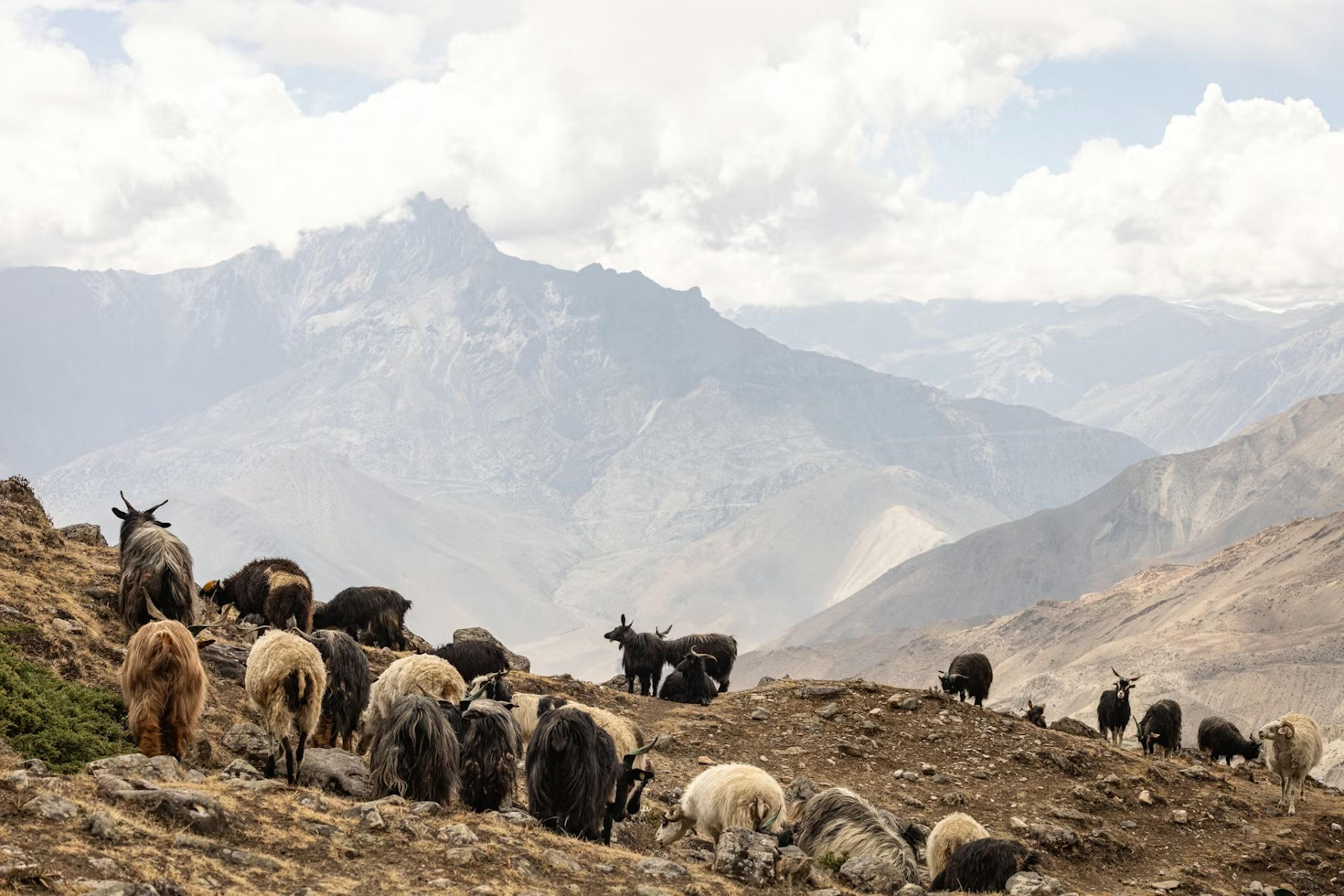 Family Trekking in Nepal: The Complete Guide for Parents and Kids