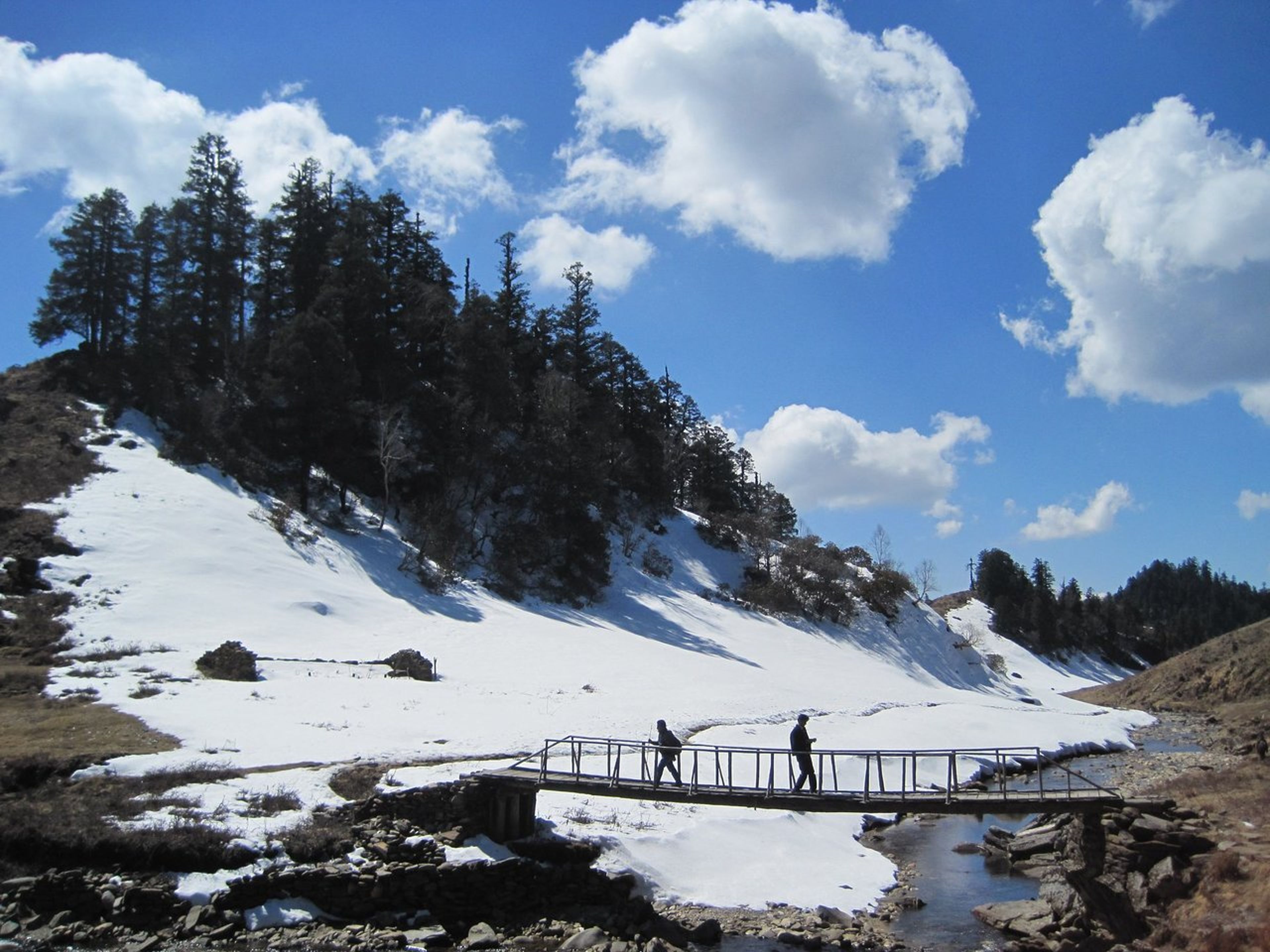 Khaptad National Park: Your Complete Trek Guide to Nepal's Hidden Shangri-La