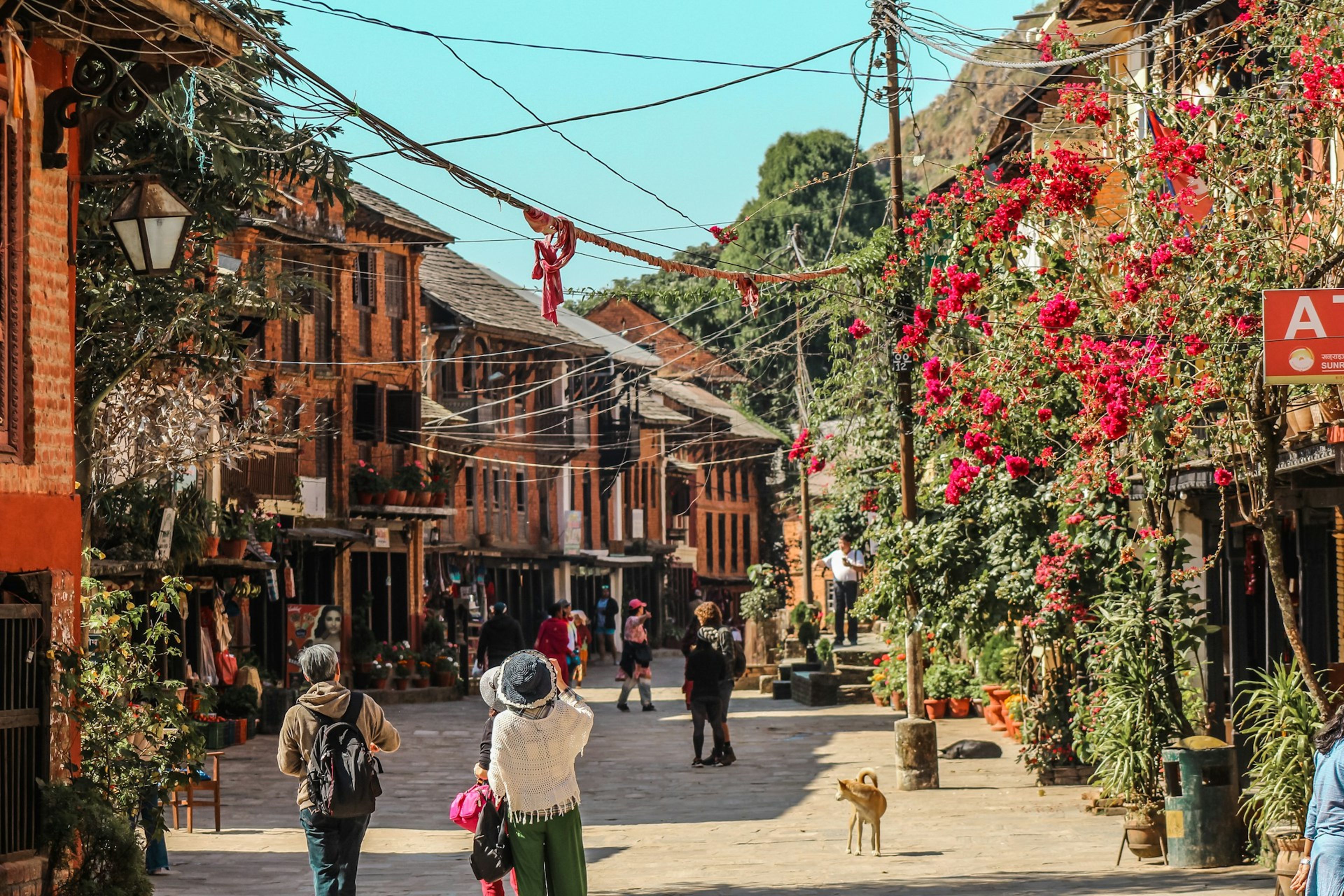 Bandipur Nepal: The Complete Travel Guide to Nepal's Best-Preserved Hill Town