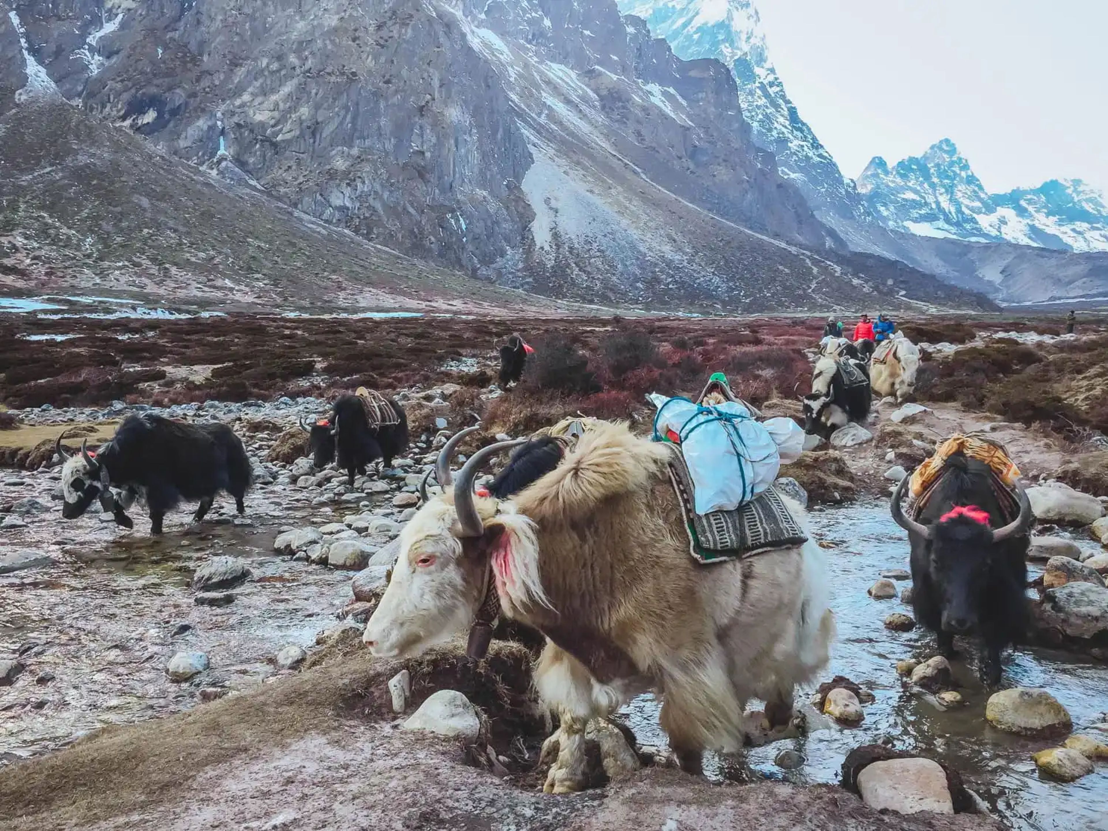 Everest Base Camp Trek Cost: 2026–2027 Budget Estimate