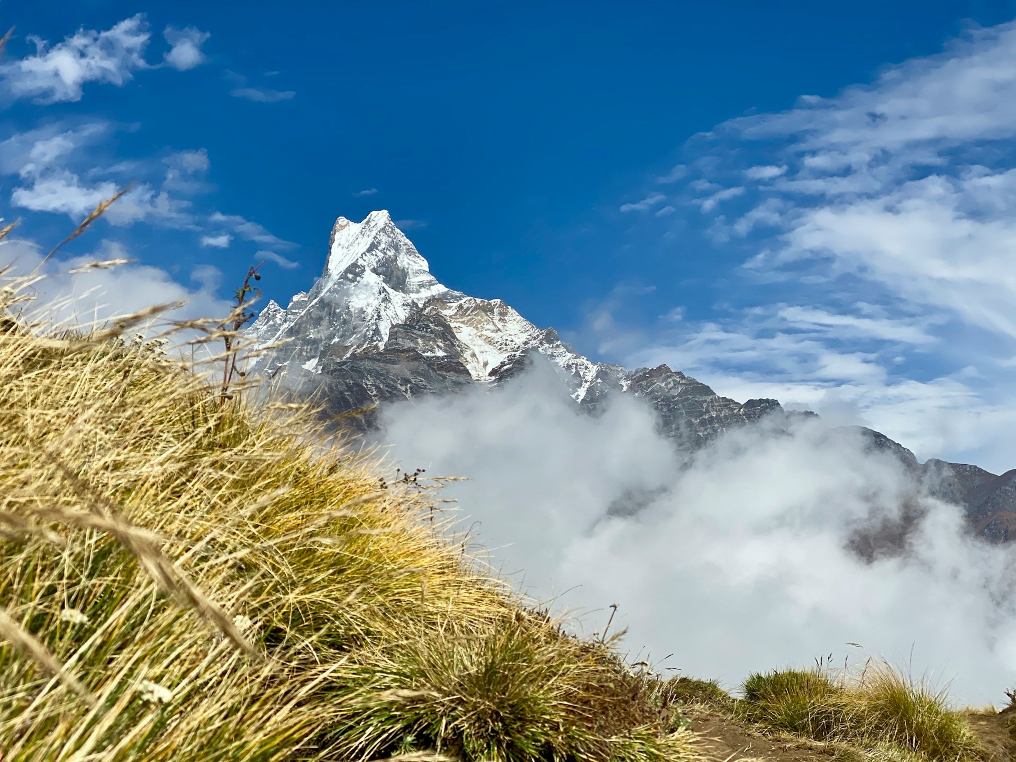 Mardi Himal Trek: Nepal's Best-Kept Trekking Secret in the Annapurna Region