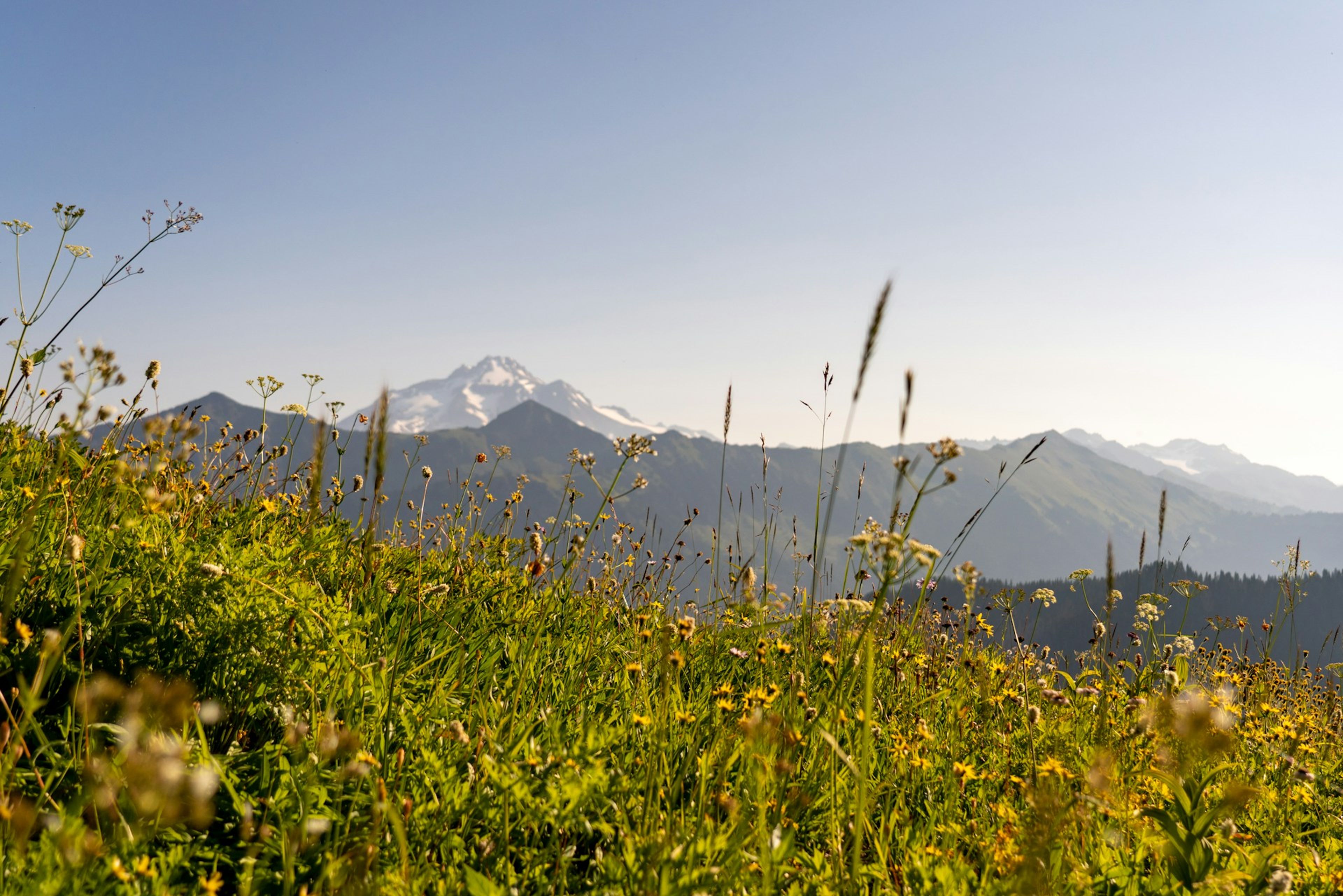 Nepal Eco Tourism: A Responsible Travel Guide