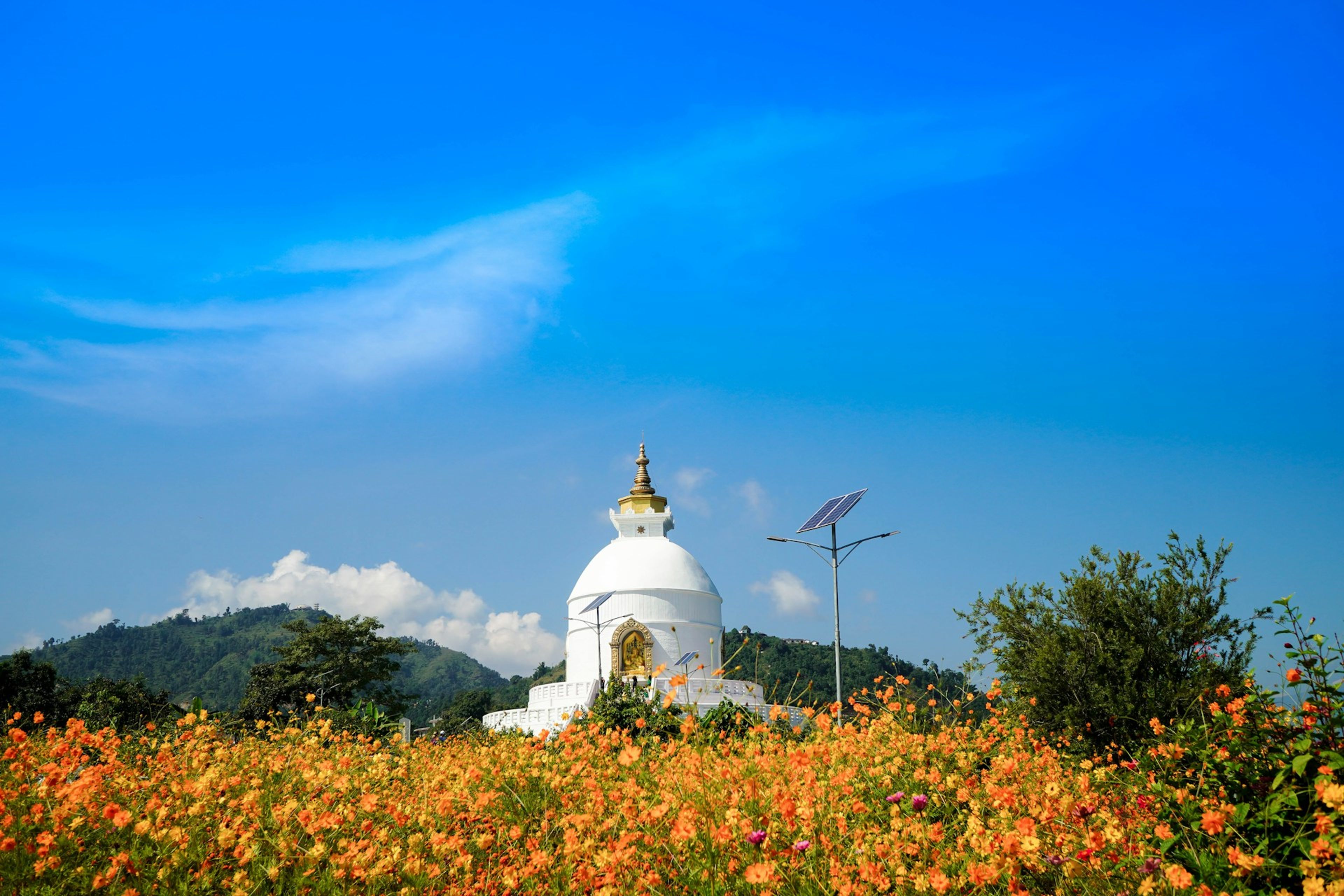 Pokhara Tour: The Complete Travel Guide to Nepal's Lakeside Adventure Capital