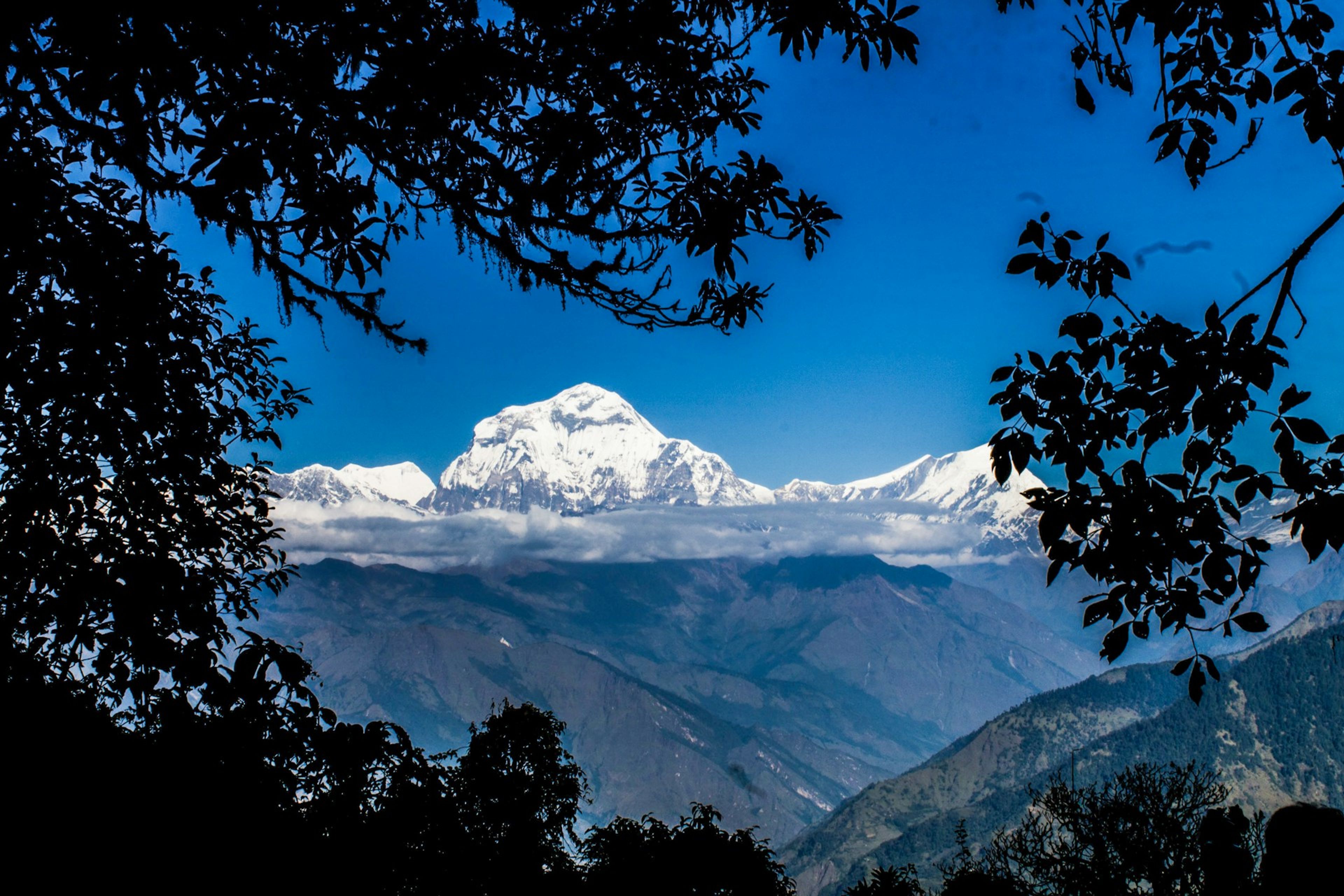 Poon Hill Trek: The Complete Guide to Nepal's Best Short Trek