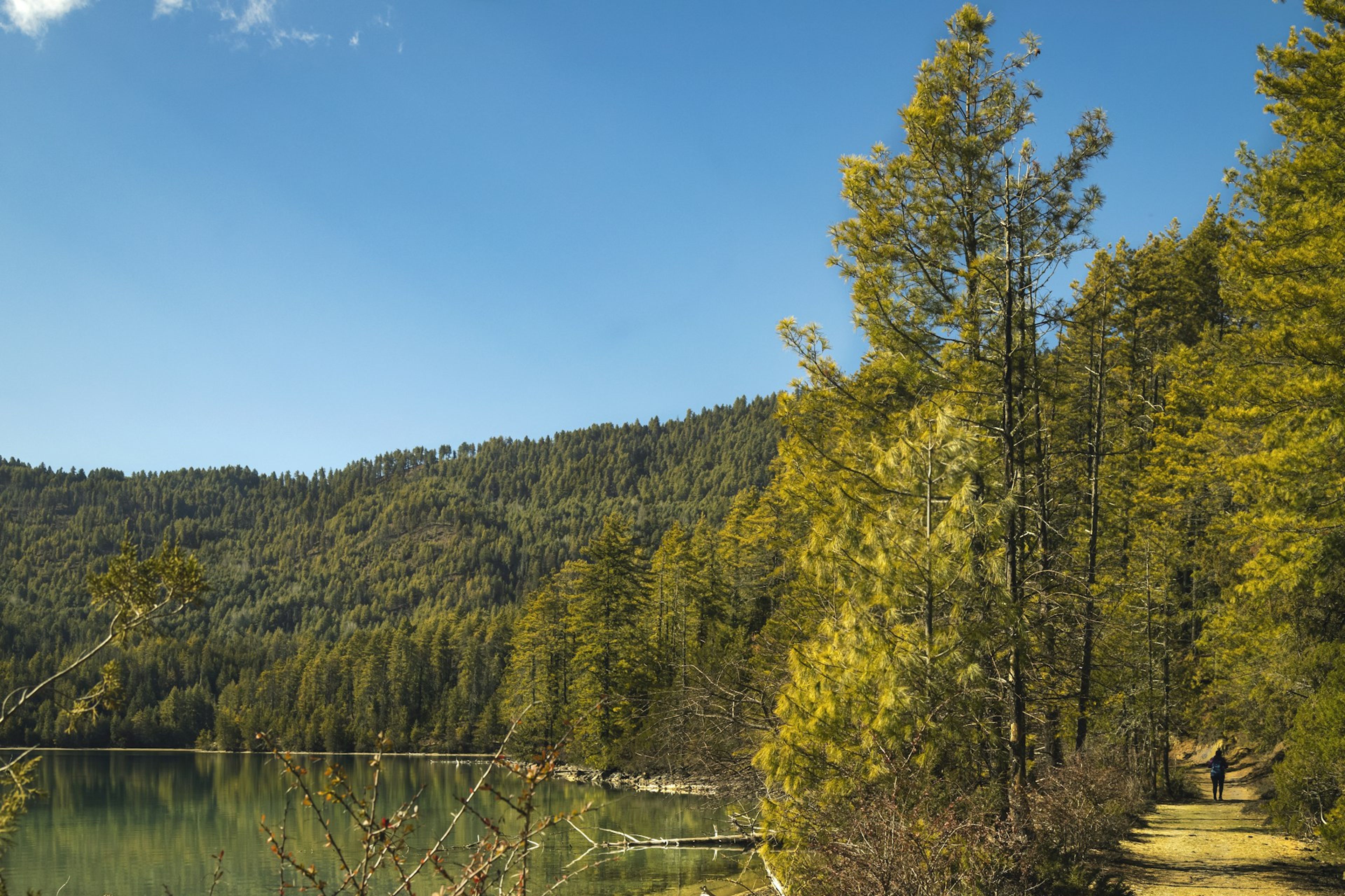 Rara Lake Trek: Complete Guide to Nepal's Most Remote Wilderness