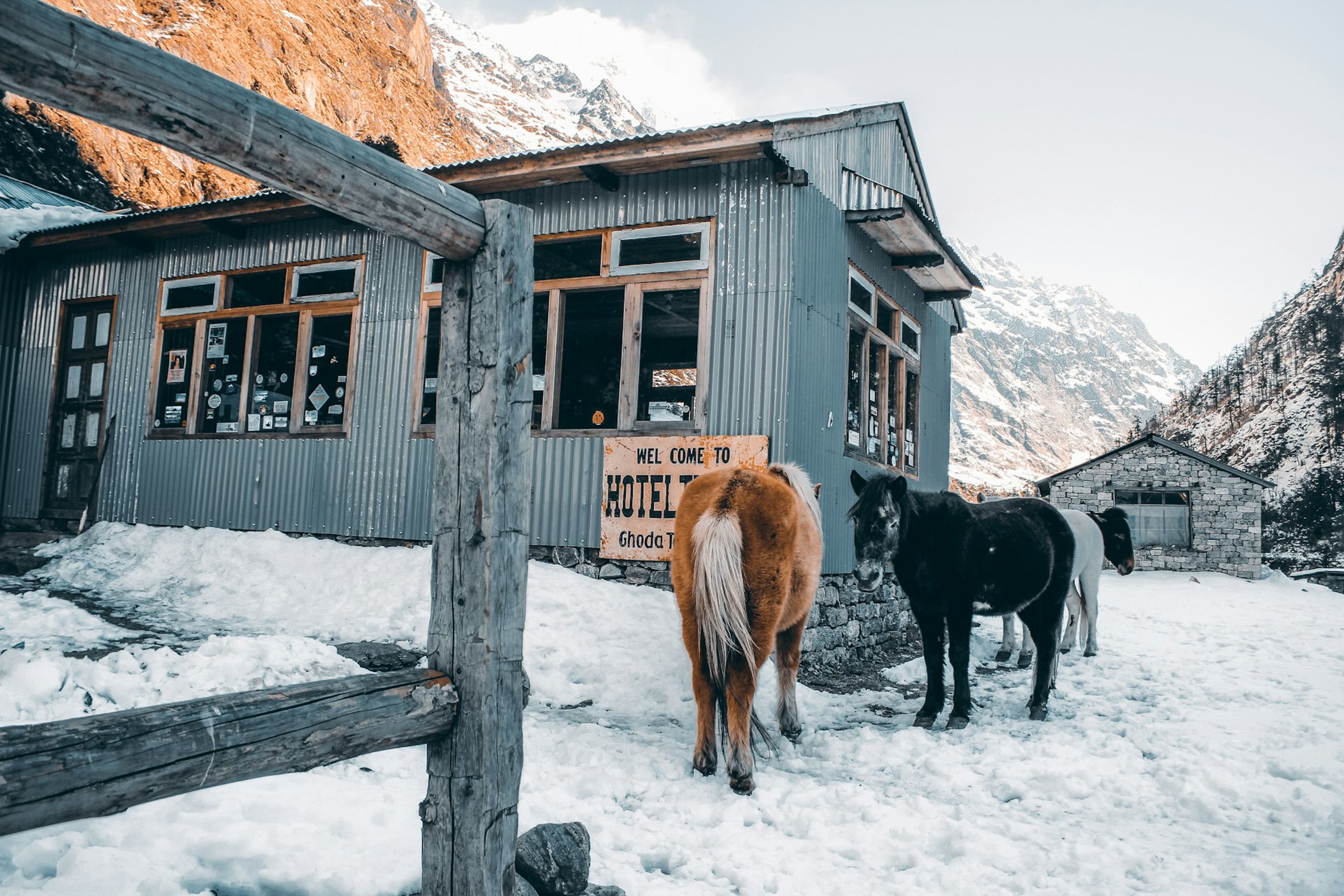 Langtang Valley Trek: Nepal's Most Underrated Himalayan Adventure