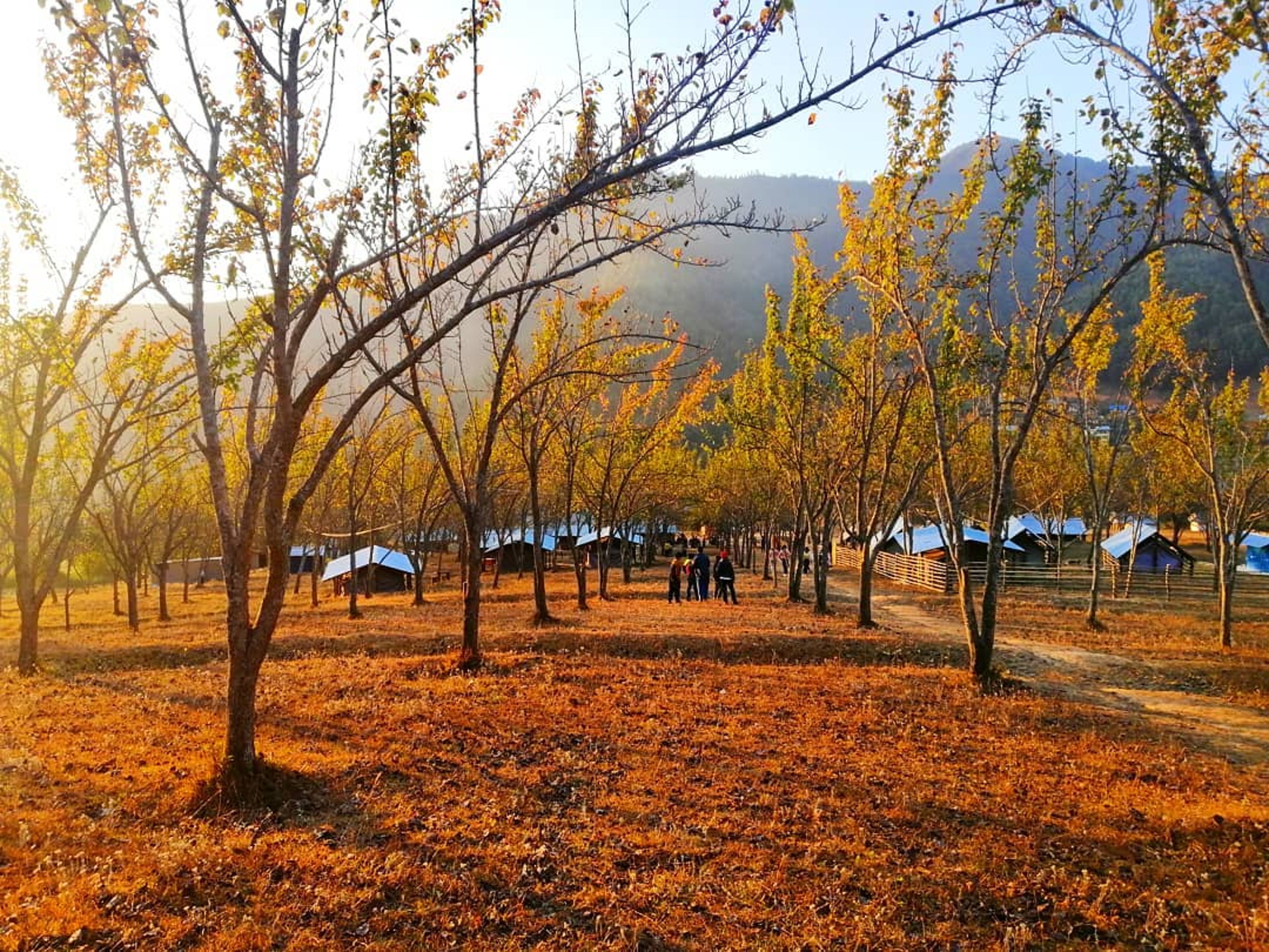 Nepal Hidden Gems Explorer