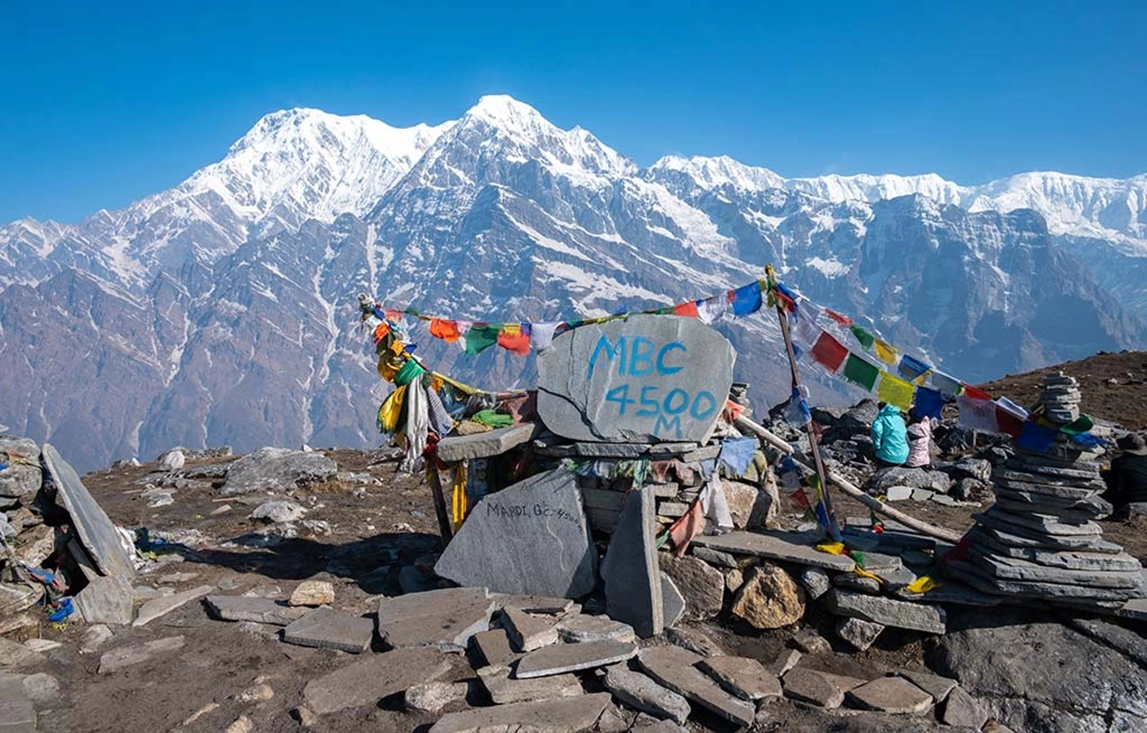 Mardi Himal Trek - 11 Days