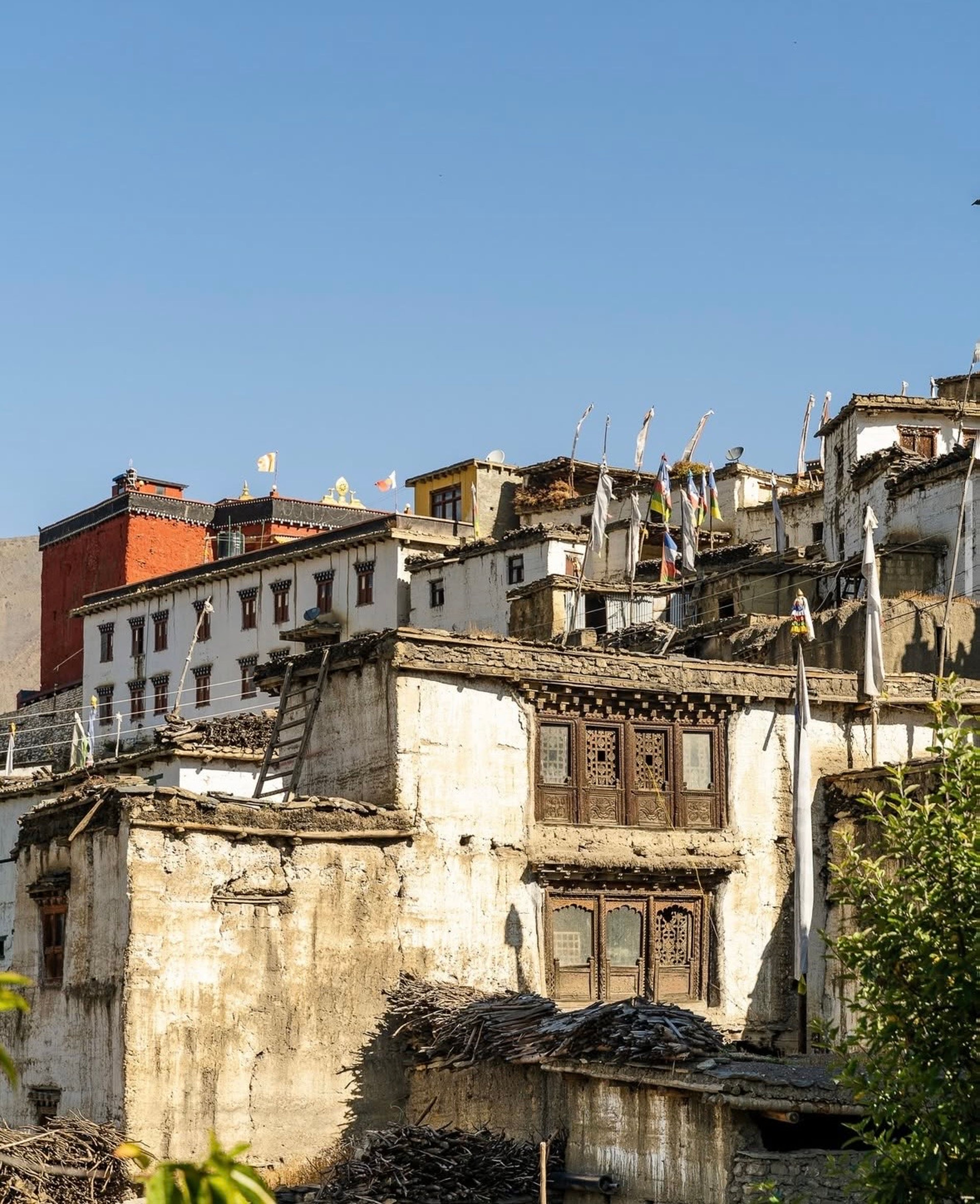 Nepal Nature Walks & Village Experience