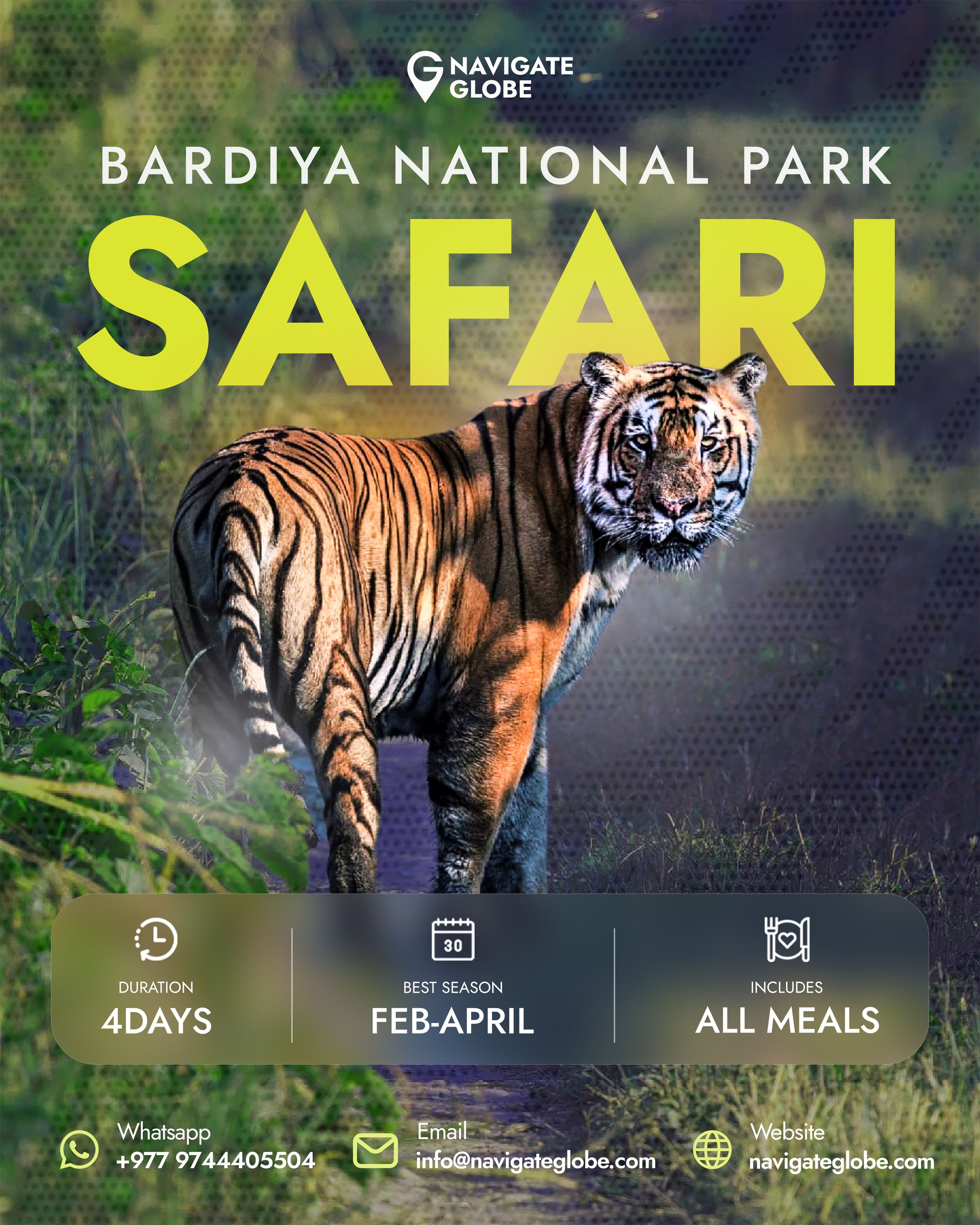 safari