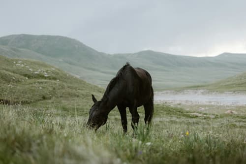 Photography Locations in Nepal: A Photographer's Complete Guide 2025