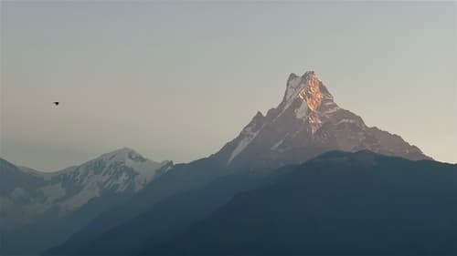 Nepal First Time Visitor Guide: Everything You Need to Know Before You Go