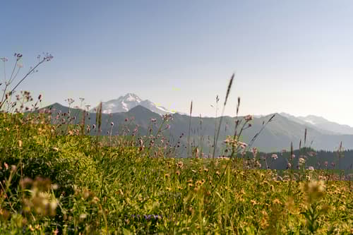 Nepal Eco Tourism: A Responsible Travel Guide