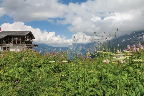 Nepal Homestay: A Guide to Authentic Village Life