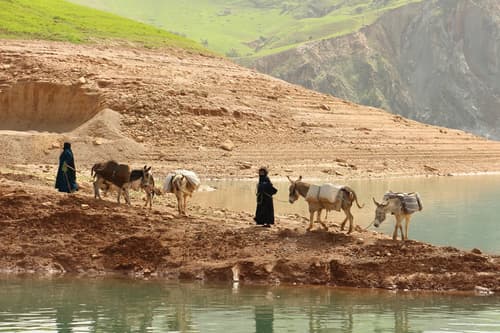 Nepal Transportation Guide: How to Get Around Safely and Efficiently