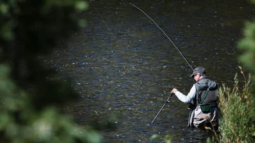 Fishing in Babai River Nepal: Complete Guide 2026